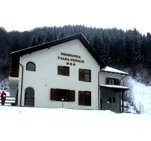 Ieeja, Pensiunea Valea Pinului in Rau Saduluja