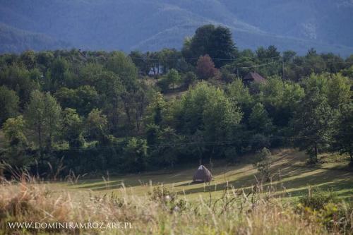 Camp Viljamovka - image 6