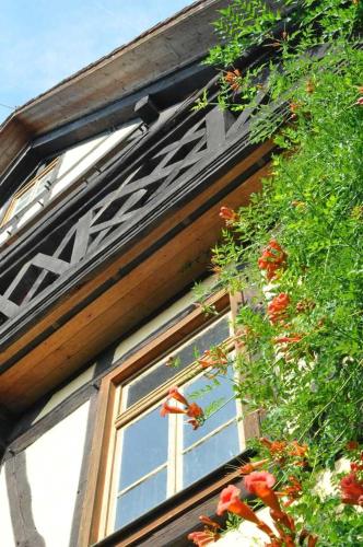 Exterior view, Gastezimmer - Fuhrhalterei Maul in Breuberg