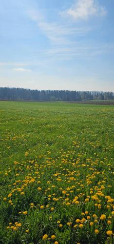 with a special charm in Berg (Baden-Wurttemberg)