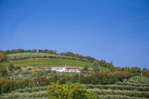 Agriturismo Casa Zen