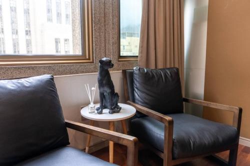Luxurious city center apartment plus Heated pool - image 2