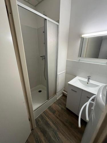 Studio Cosy a la gare de Tours in Saint-Cyr-sur-Loire