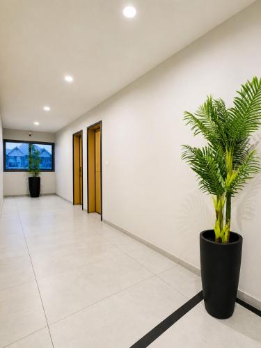 Ixoras Hotel Lemba in 金夏沙