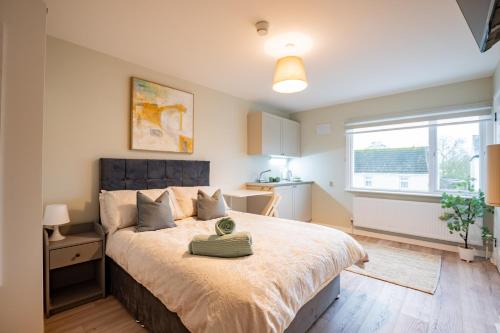 Flexistays - Private En-Suite Studios - Kinnegad in Kinnegad