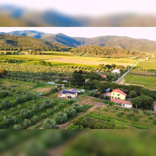 Pian di Rocca Country 1