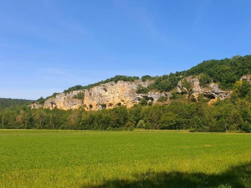 Wild Cure Camp in 阿施瑞蘇爾