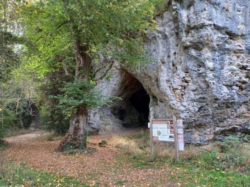 Wild Cure Camp in 阿施瑞蘇爾