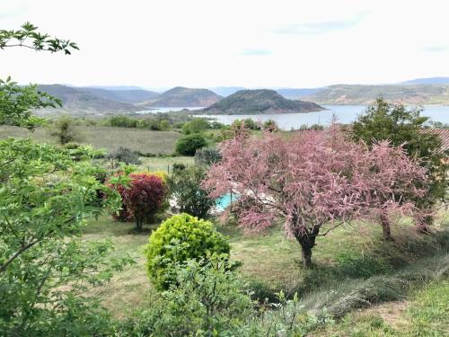 Apkārtne, ROUENS gîte avec piscine au Salagou (ROUENS gite avec piscine au Salagou) in Murēza