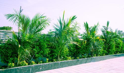 Aureza Paradise Hotel in Tamale