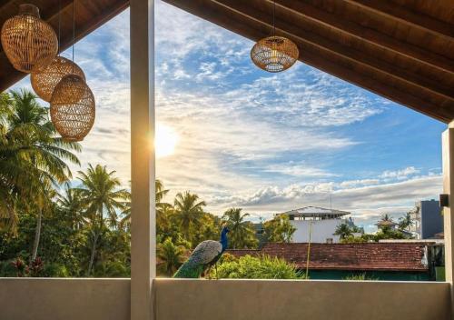 Restaurant, Cavendish Polhena in Matara