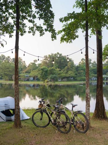 Lake View Villa Flamingo Dai Lai by Resident - image 3