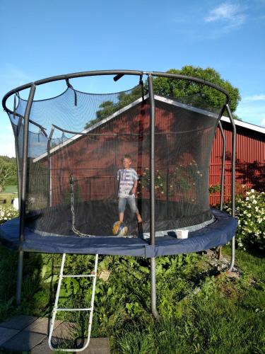 Lekanders Bär & Boende - image 3