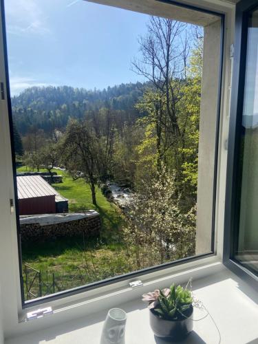陽台/露台, Le clos du moulin - Studio loft aux pieds des Vosges in 瑟温