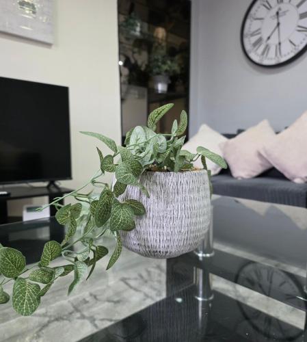 FM Homes & Apartments 3 Bedroom House Motherwell in Мазеруелл