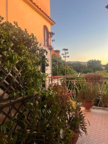 La casa di Rosa - Casa Vacanze 2