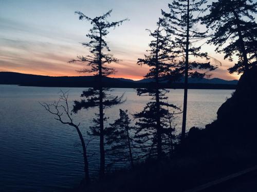 Galiano Island Cabin in 盬泉島 (BC)