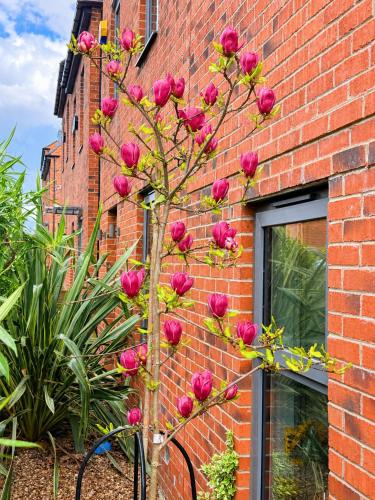 Igloo Magnolia Luxe Townhouse Stay I Free Parking, Leeds (Foto 4)