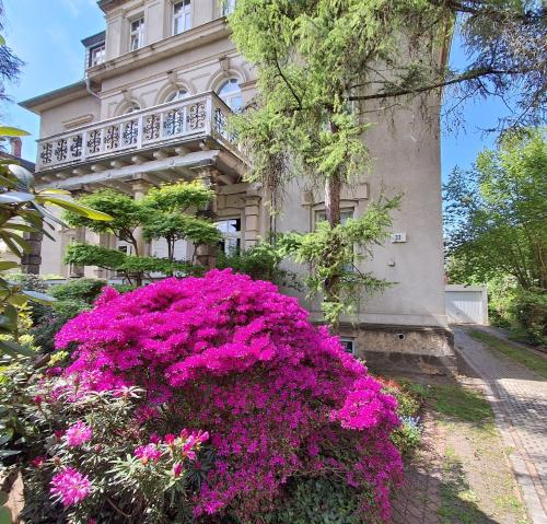 Villa Taxus-Smokers not welcome - Radeberg