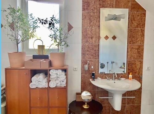 Big Apartment With Mountain and Garden View in Klagenfurt