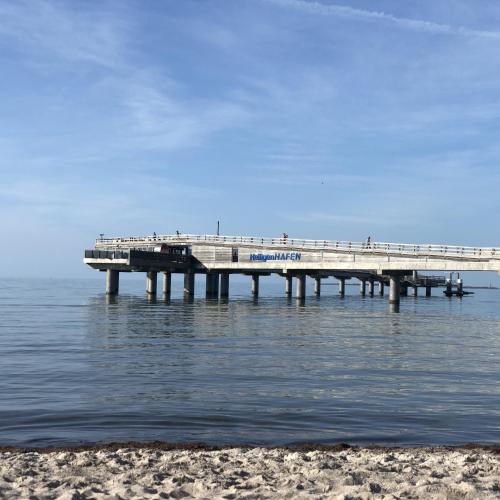 Ostsee - Appartement Nr. 18.2 Sunshine Oase im Strand Resort - [#23769] - image 27