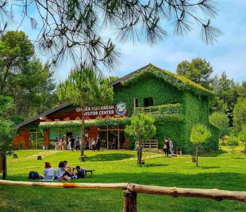 Zeus Guest House in Divjake