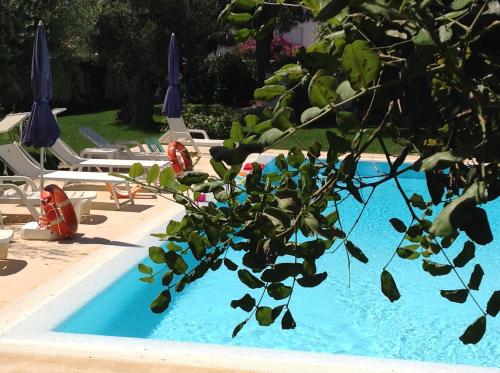 Il Giardino Dei Carrubi - image 13