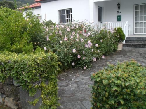  Tropical Fruit Garden in Velas