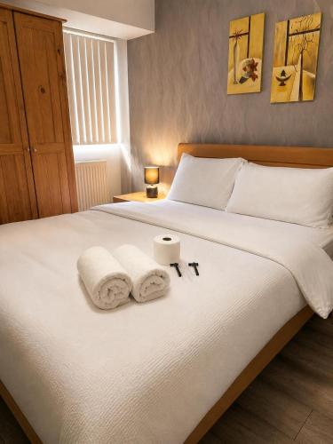 The RS Prime - Homestay Premium Private Rooms Near Train Station, Airport, NEC For Company, Contractor Stays - HS2, JLR Onsite Secure Parking, Birmingham (photo 9)
