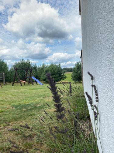 Apkārtne, Dom pod lasem in Cekcyn