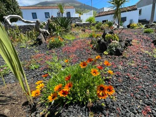 Dārzs, 2 bed Oceanview Villa Wood-Fire BBQ Washer Dryer in Sao Mateus
