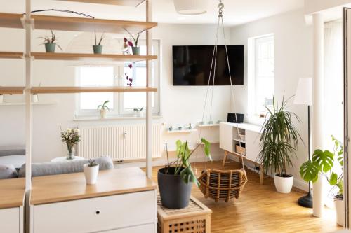 Hello Holidays - Home - Zentral - Terrasse - Parkplatz, Oldenburg (fotografie 11)