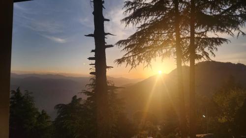 ONHILLs photo 5
