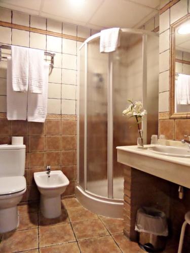 Hotel Medina de Toledo - image 12