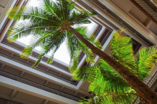 Mauna Kea Beach Hotel Autograph Collection - image 36