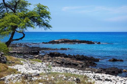 Mauna Kea Beach Hotel Autograph Collection - image 19