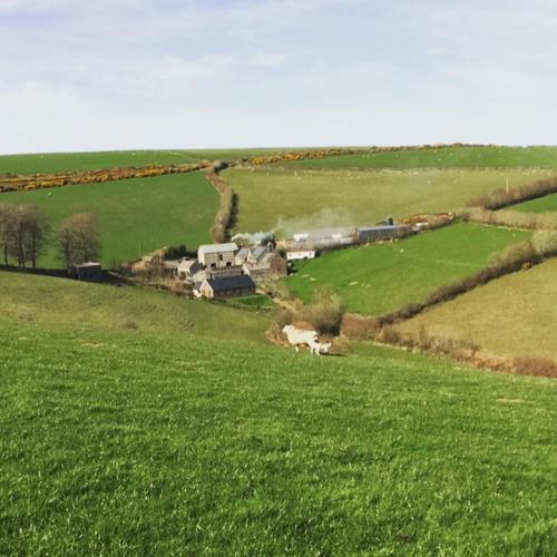 Coombe Farm - Accommodation - Lynton