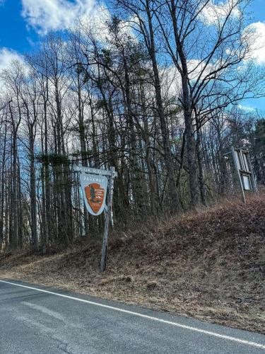 Blue Ridge Mountain Inn in Vūlvaina (VA)