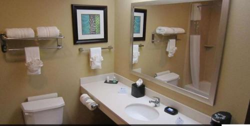 Cedartown Inn & Suites - 화장실
