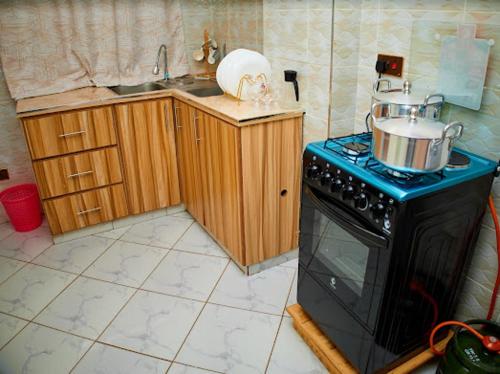 TEXAS BNBs 1 BEDROOM in Thika