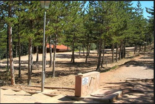 Dārzs, Camping Las Cabañas (Camping Las Cabanas) in Utrillas