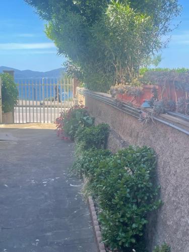 Marinella gîte à louer Cotone