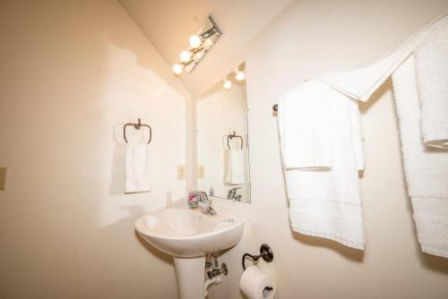 Foxtail Lodge - Warrens Retreat - image 3