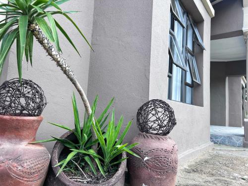 Butrin62 Guest House in Odendaalsrus