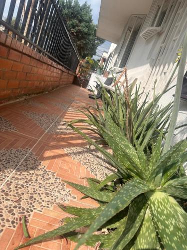 Quiet, comfortable and totally private space in Poblado