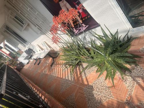 Quiet, comfortable and totally private space in Poblado
