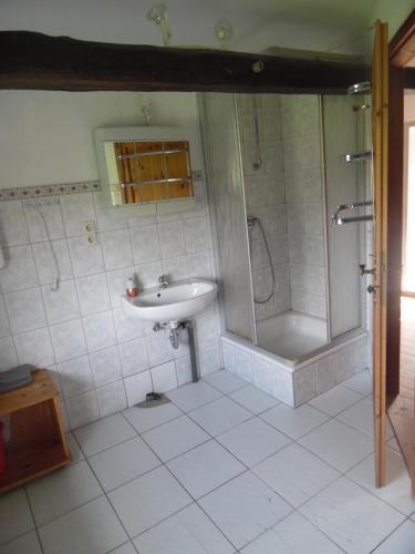 Urlaub auf dem Bauernhof, 4-P-Wohnung in Zeulenroda-Triebes