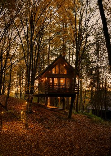 Na Skraju Lasu Domek na Drzewie & Glamping - Janowiec