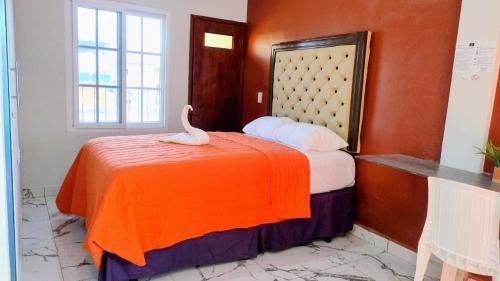 Hotel Urban Center RM