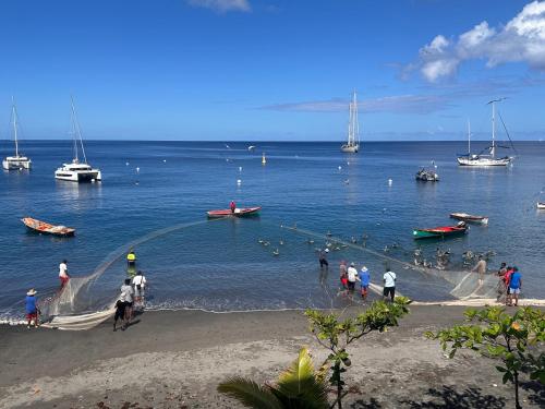 Hotel Ti' Pelican in Saint-Pierre